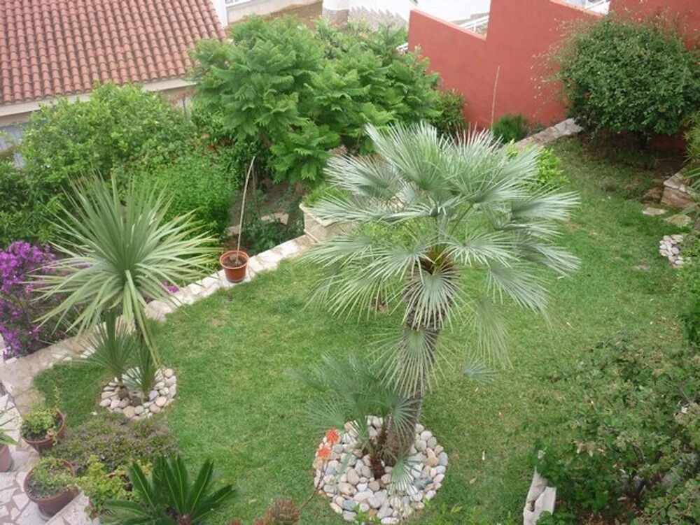 Apartment With 2 Bedrooms in Peñíscola, With Wonderful City View, Pool