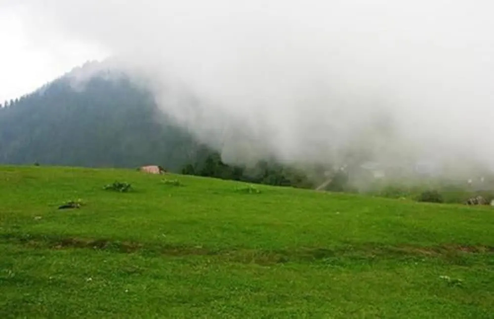 Hotel Orash Lodges