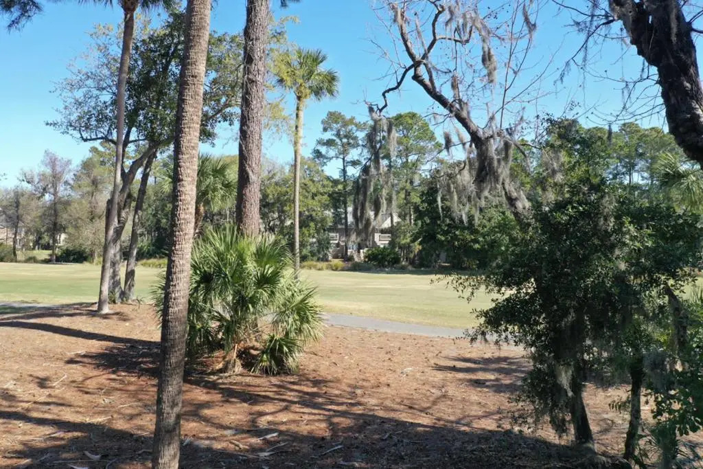 144 The Greens 1 BR Shipyard Golf Condo