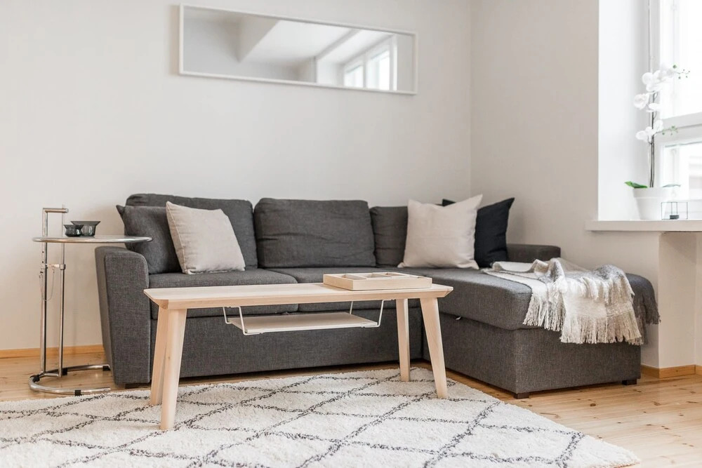 Scandinavian Apartments in City Center