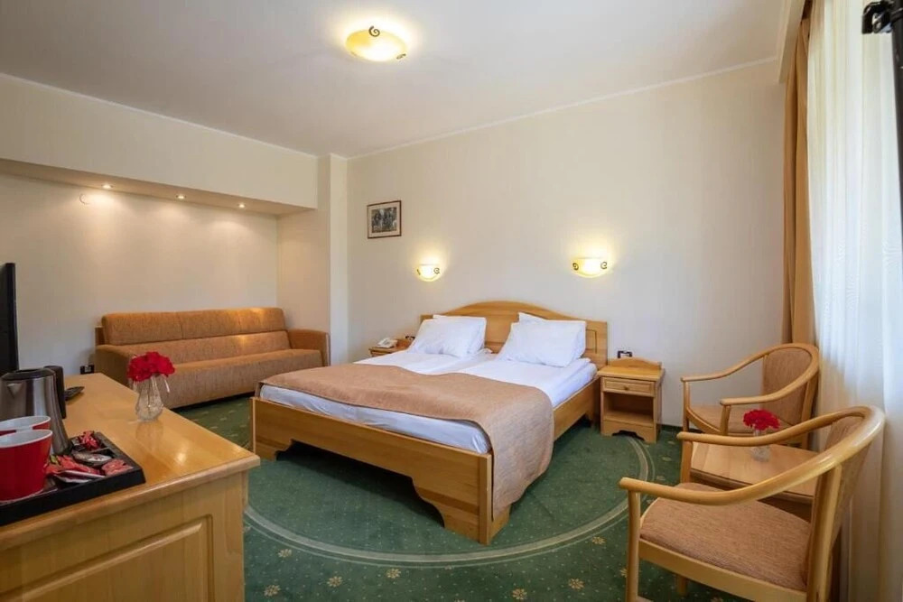 Hotel Casa Viorel jacuzzi & saunas