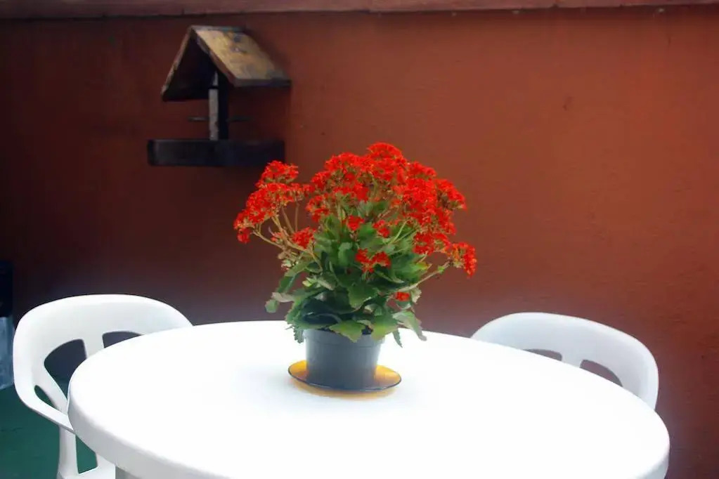 Pousada & Hostel São Paulo