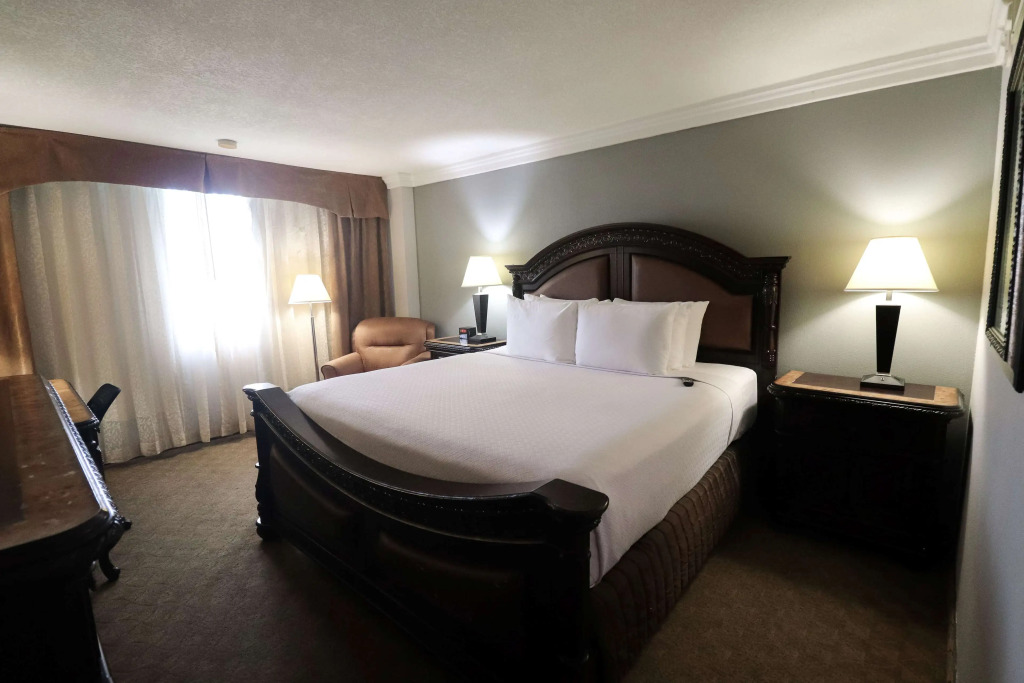 Wyndham Houston near NRG Park - Medical Center