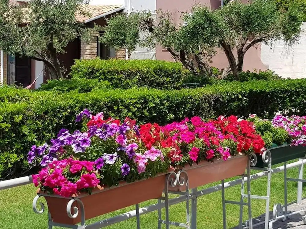 Corfu Glyfada Menigos Resort 46