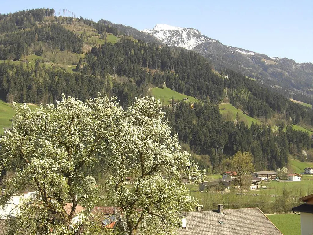 Zillertal Apartments