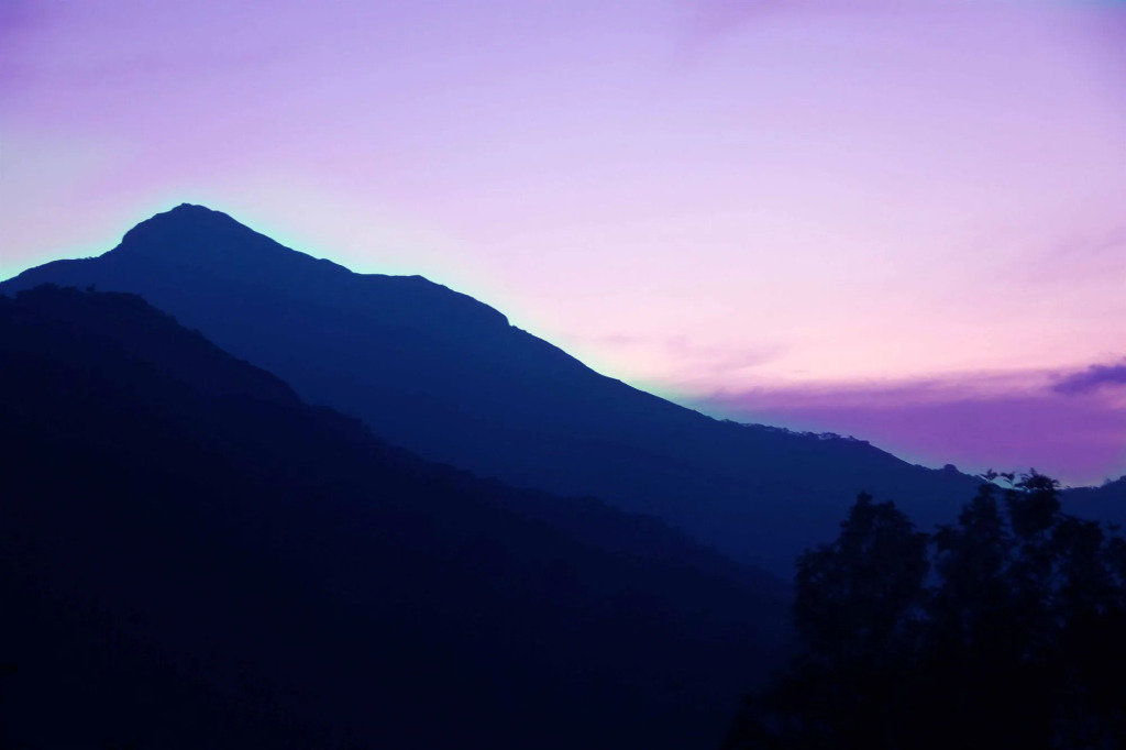 Green Trees Munnar