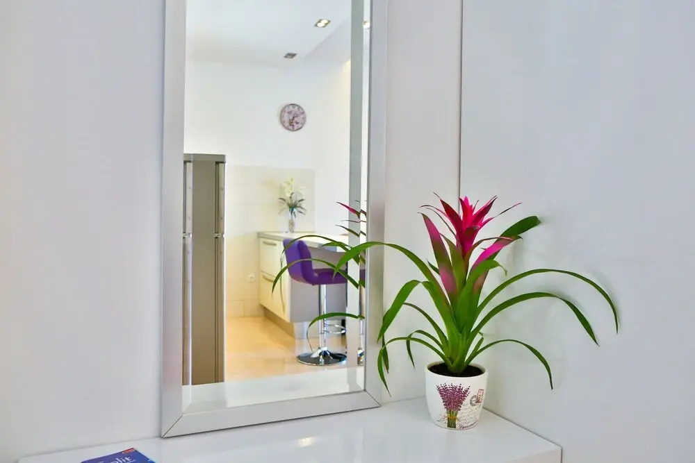 Summer Lounge Apartments