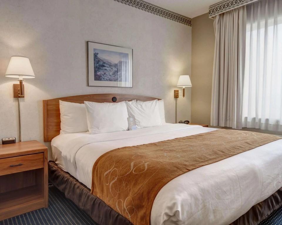 Comfort Suites University