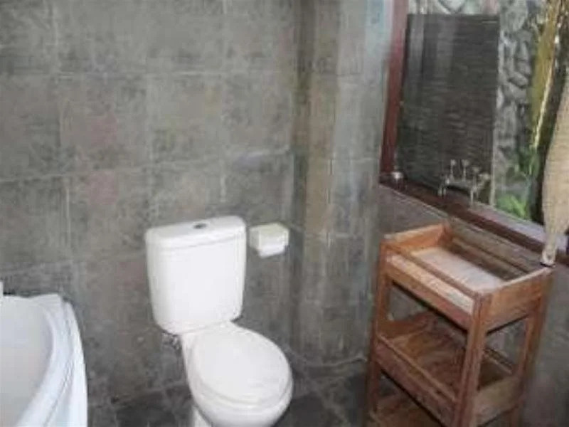 9th House