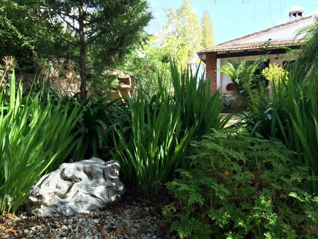 Cortijo El Berrocal