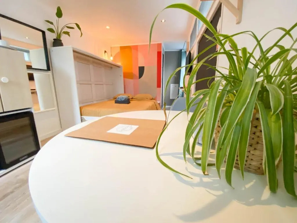 B&B Freydag