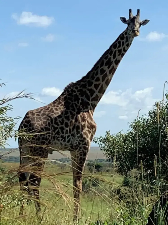 Oreteti Mara Lodge