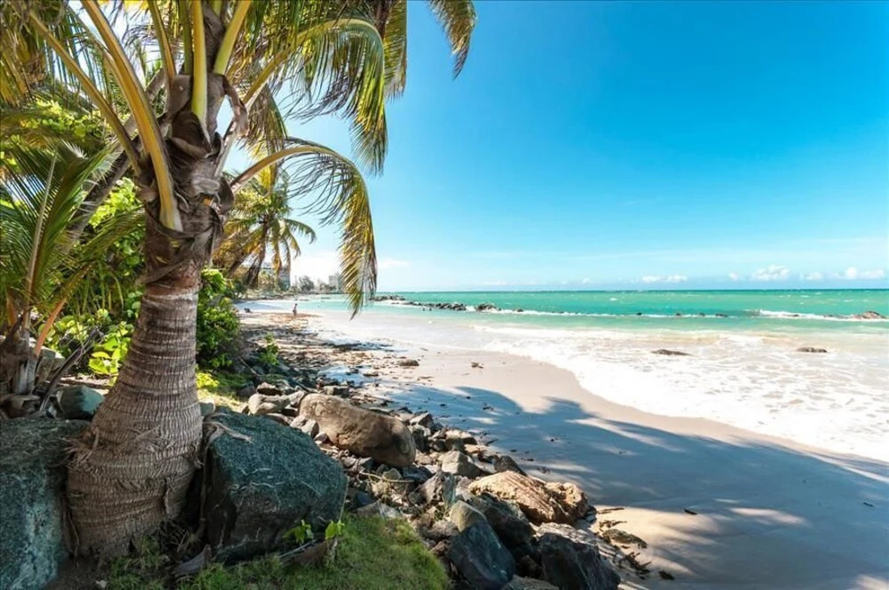 Paraiso by the Sea