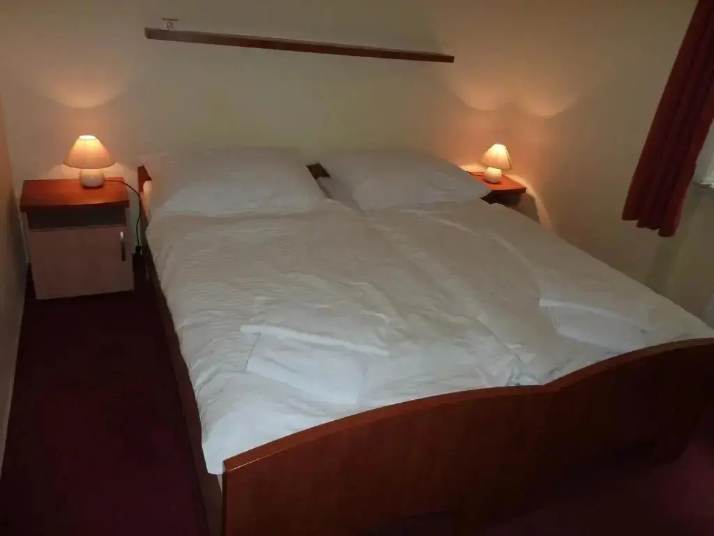 Horský Hotel Excelsior