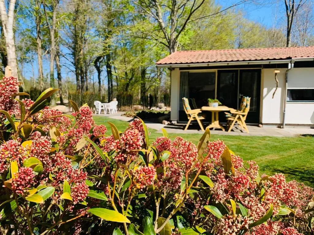 Bungalow 72