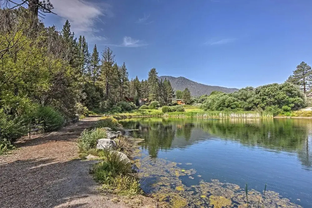 Walk to Village: Cozy Cabin in Pine Mountain Club