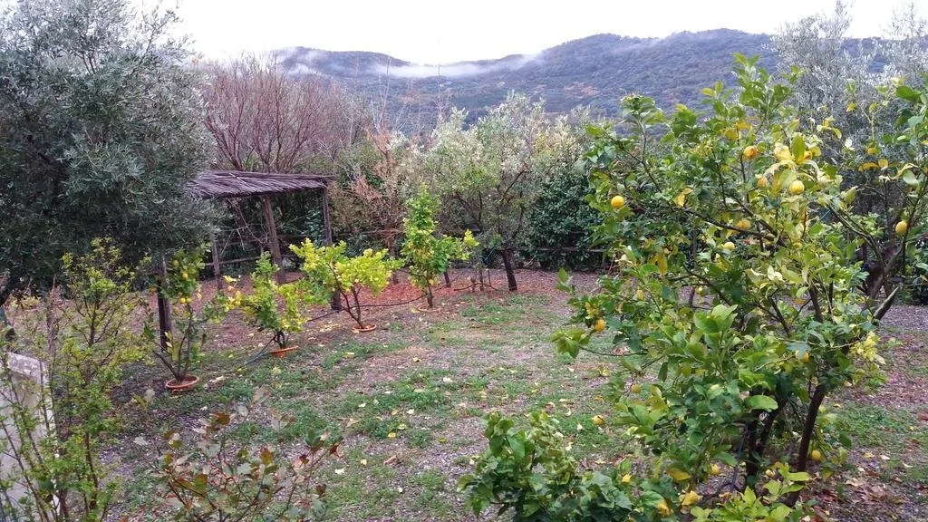 Casa Vacanze Il Pino