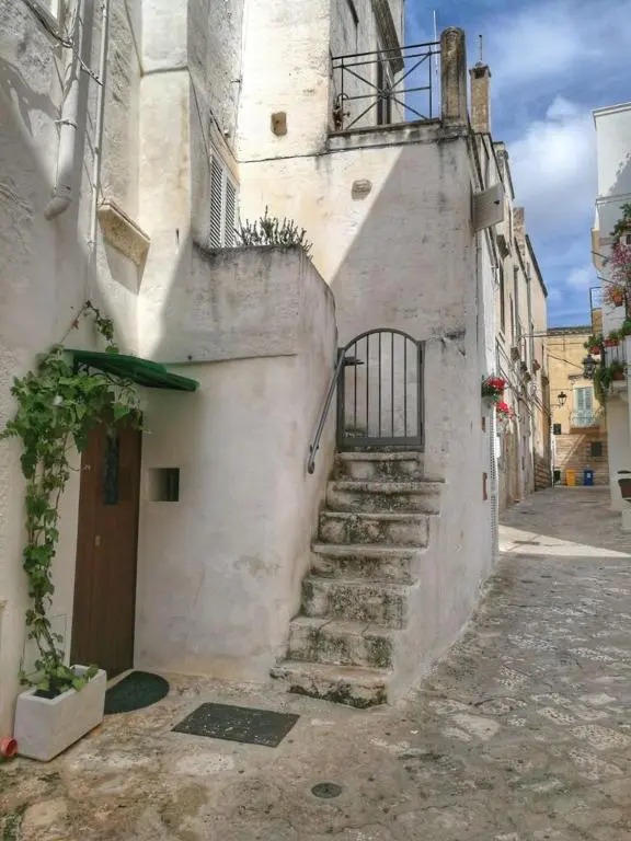 L' Edera