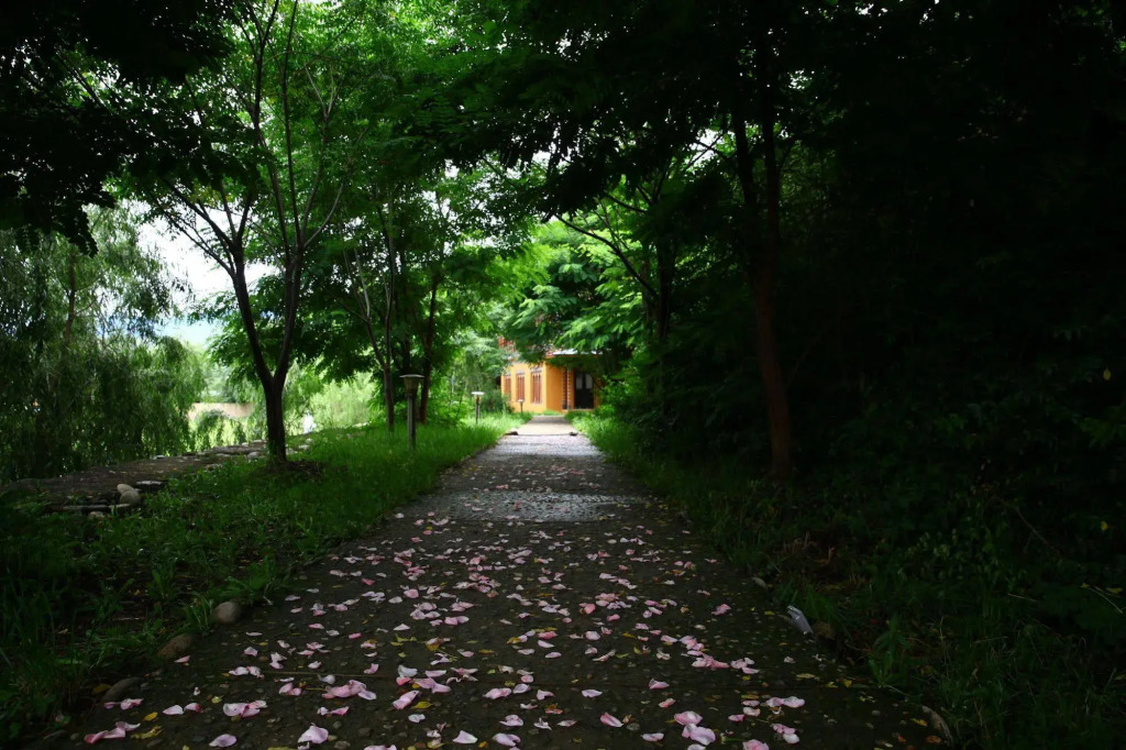Tashi Namgay Resort