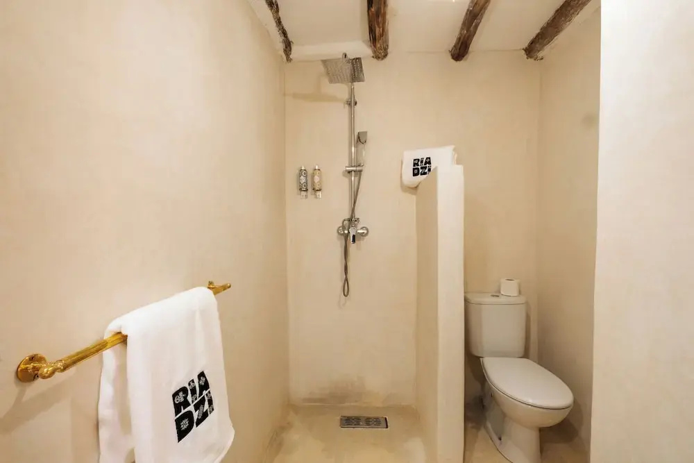 Riad Zi