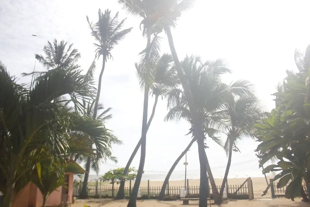 Vista Star Beach Hotel