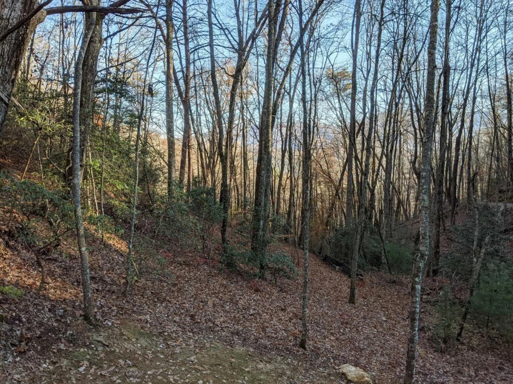 Deep Creek Hideaway 2 Bedroom Cabin by RedAwning