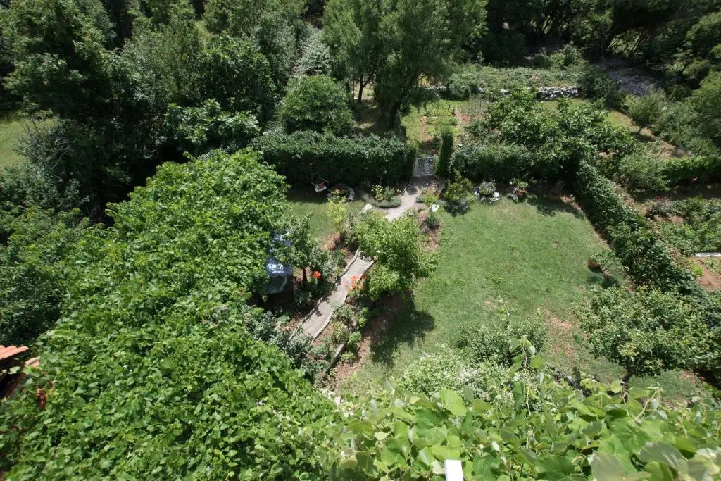 Apartments Frkovic
