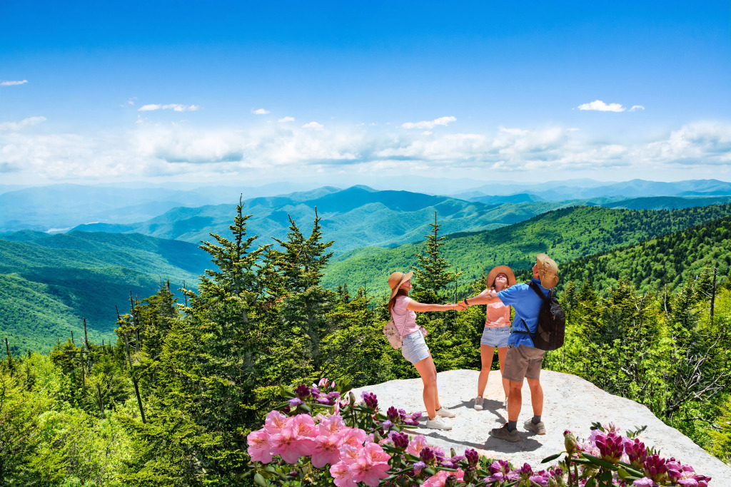 Holiday Inn Express & Suites Asheville SW - Outlet Ctr Area by IHG