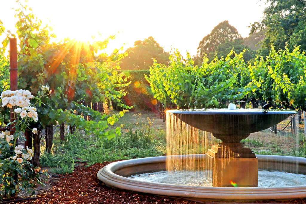 Napa Valley Lodge