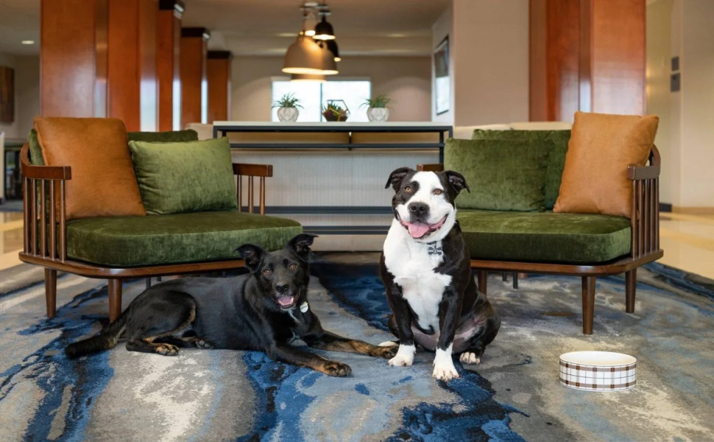 Fairfield Inn & Suites Redding