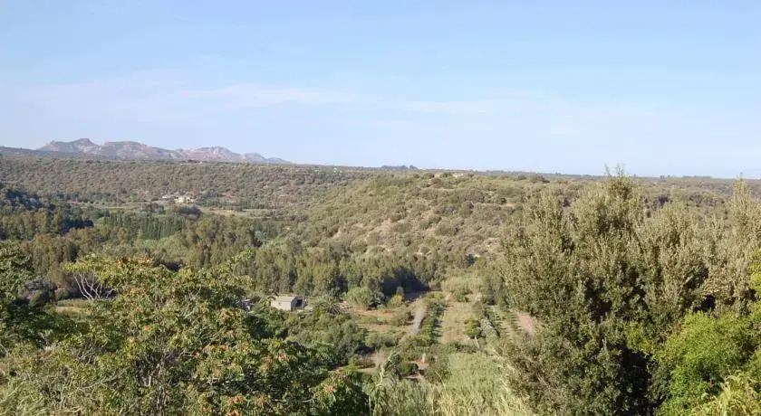 B&B Belvedere