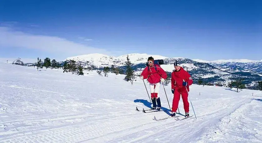 Vrådal Ferieleiligheter