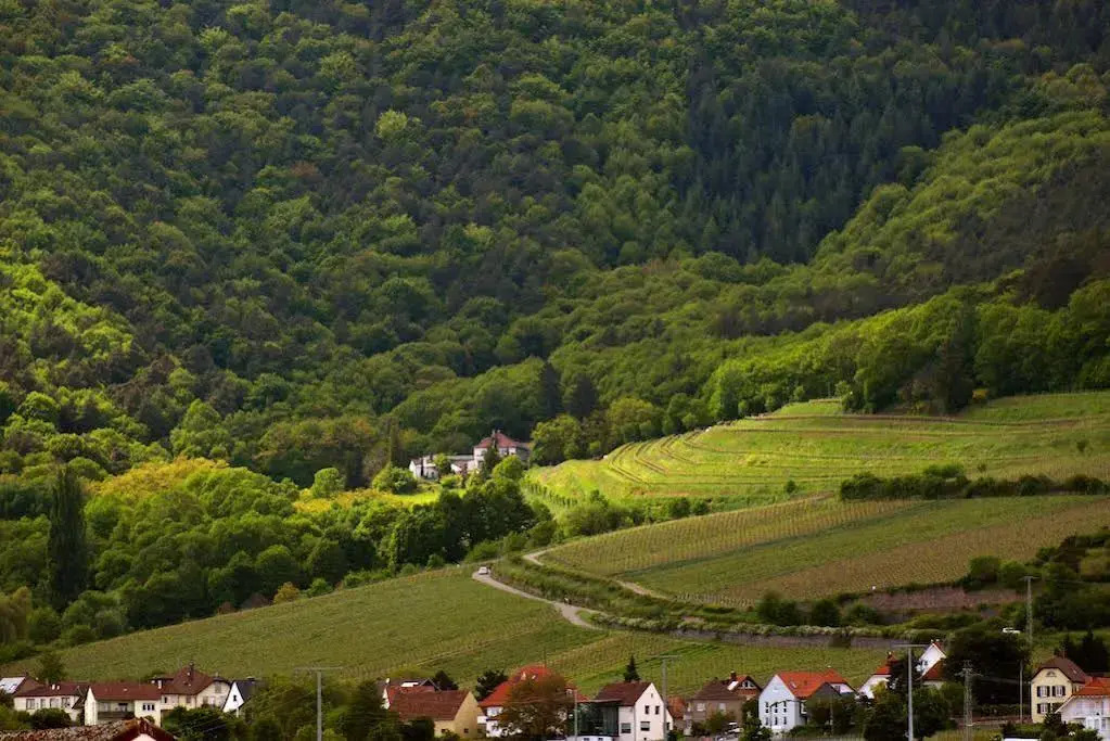 Sankt Annagut