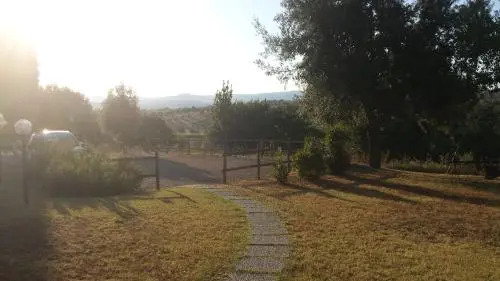 Agriturismo Podere Selvette