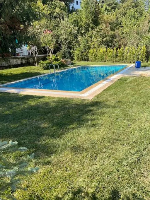 Villa Grande Albero