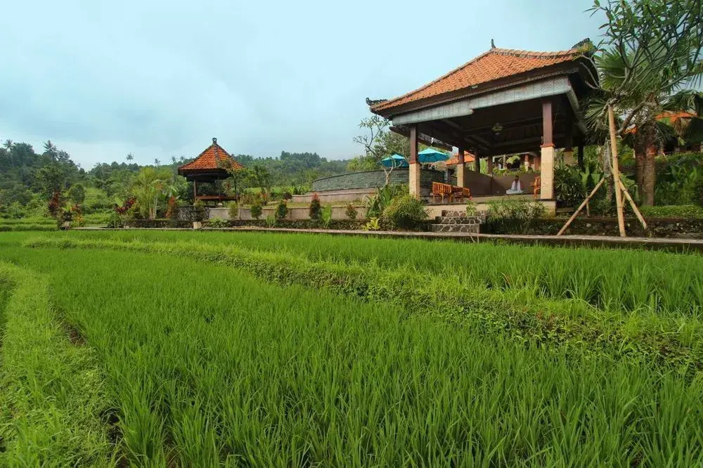 The Khana Sambangan