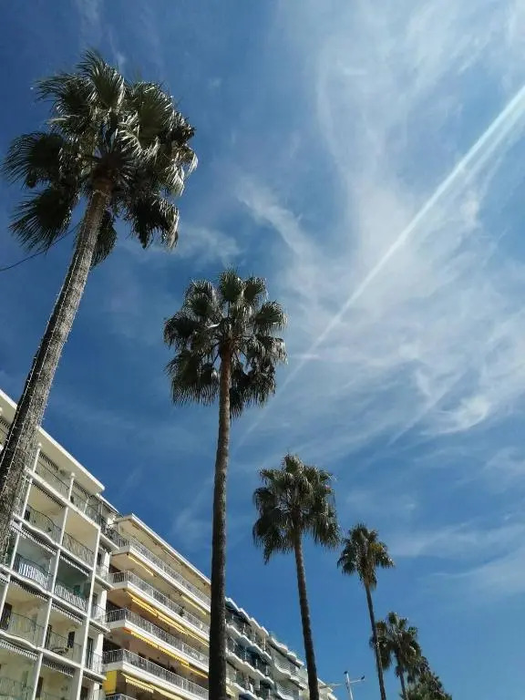 Stylish New 1 bedroom apartment in juan les pins
