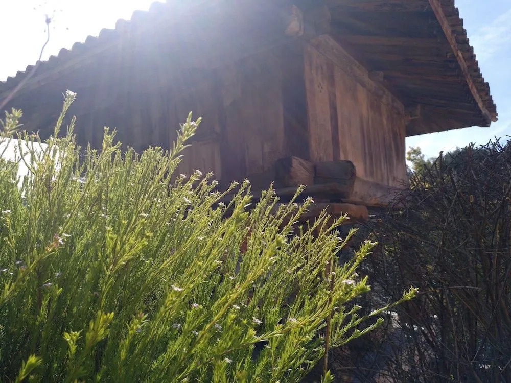 Rural Obaya