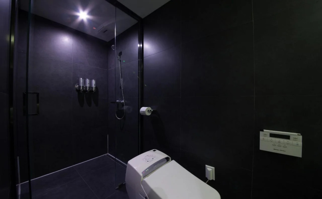 Yeoksam Lumiere Hotel