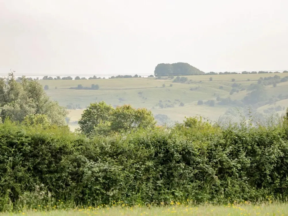 Waylands