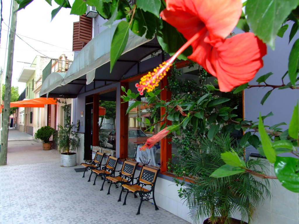 Hotel Iris