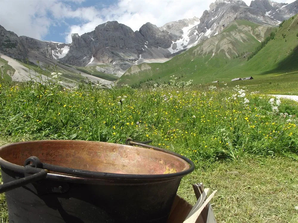 Wellness Hotel Dolomia