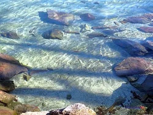 Tiffany
