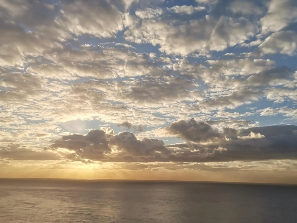 Jackies s Ocean View
