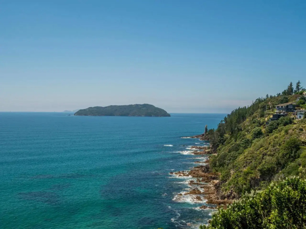 Purepure - Tairua Holiday Home
