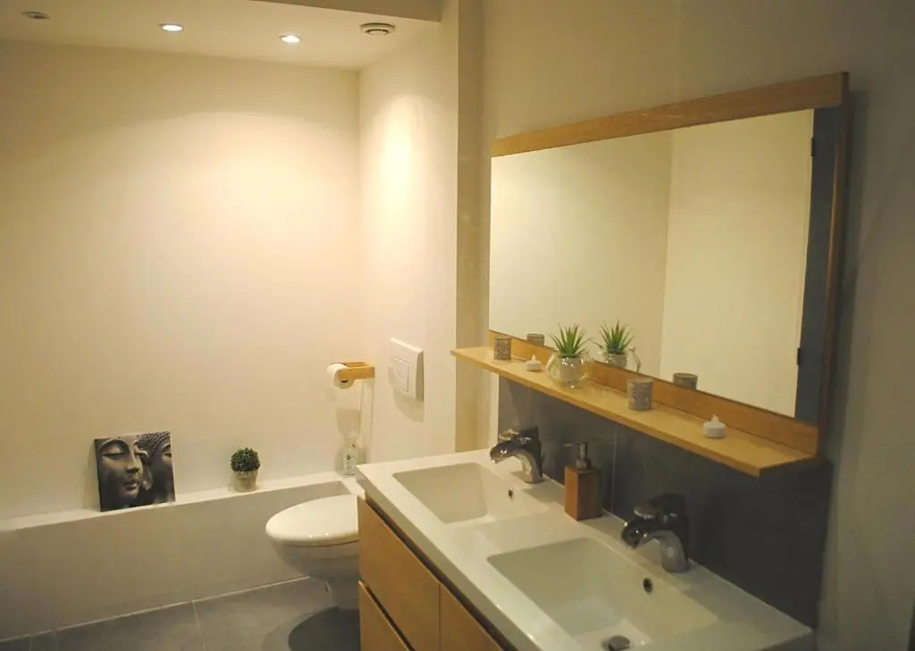 COSY & SPA Appartement luxe JACUZZI "Suite Diamant"