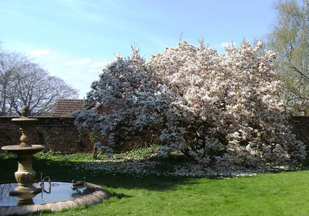 Hilbury Court Hotel