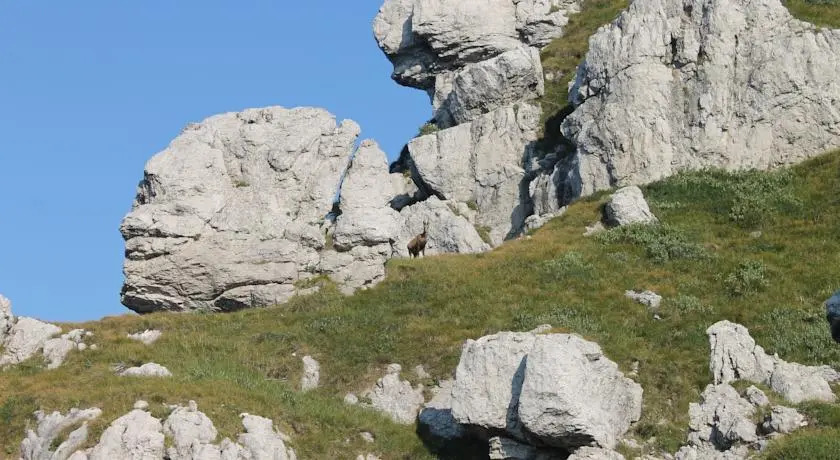 Rifugio Marchett