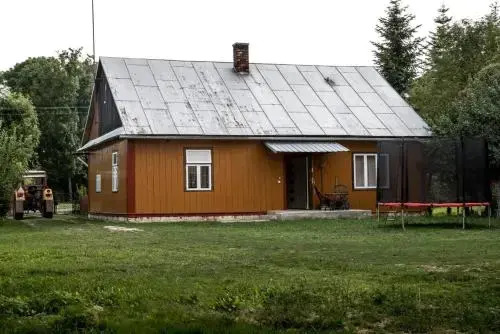 Dzikówka