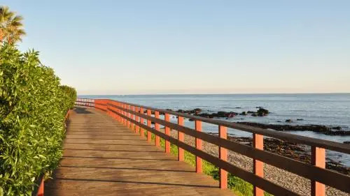 Flores Del Mar